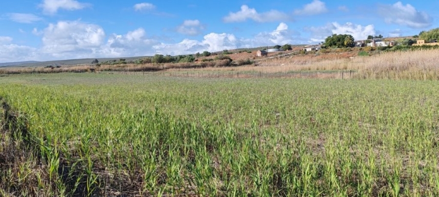 3 Bedroom Property for Sale in Koekenaap Western Cape